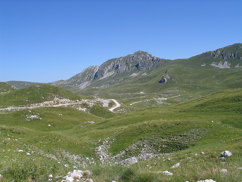 Original image